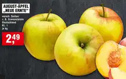 Handelshof August-äpfel neue ernte Angebot