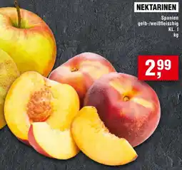 Handelshof Nektarinen Angebot