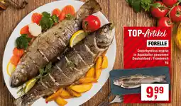 Handelshof Forelle Angebot