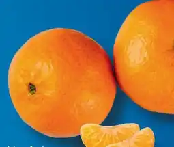 Aldi Süd Mandarinen Angebot
