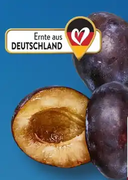 Aldi Süd Zwetschgen Angebot