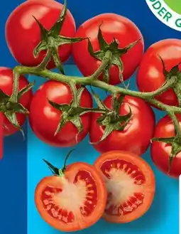 Aldi Süd Cocktailrispentomaten Angebot