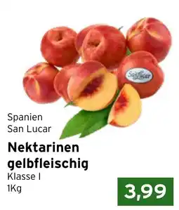 CAP Markt Spanien San Lucar Nektarinen Angebot