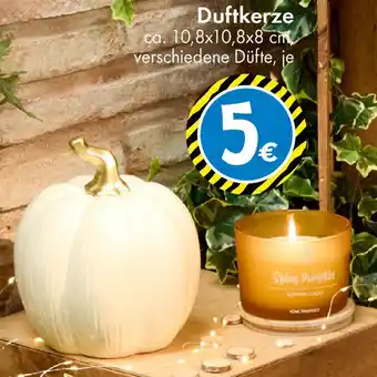 TEDi Duftkerze Angebot