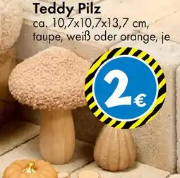 TEDi Teddy Pilz Angebot