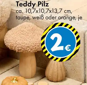 TEDi Teddy Pilz Angebot
