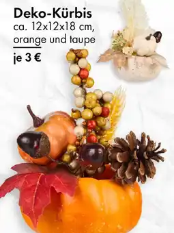 TEDi Deko-Kürbis Angebot