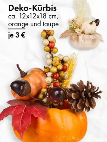 TEDi Deko-Kürbis Angebot