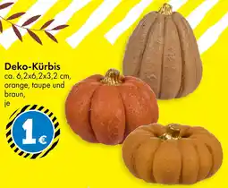 TEDi Deko-Kürbis Angebot