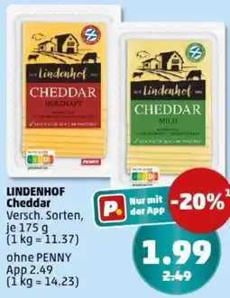 PENNY LINDENHOF Cheddar Angebot