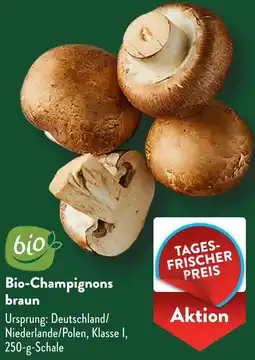 Aldi Süd Bio-Champignons braun Angebot