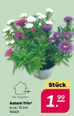 NETTO Astern Trio Angebot