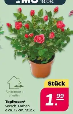 NETTO Topfrosen Angebot