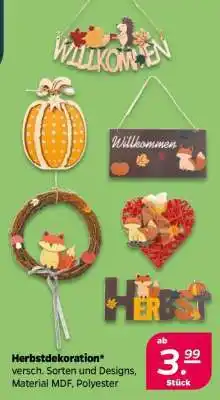NETTO Herbstdekoration Angebot