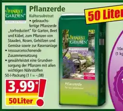 Norma Pflanzerde Angebot