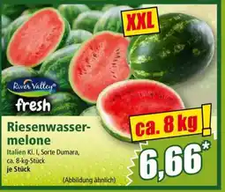 Norma Riesenwassermelone Angebot