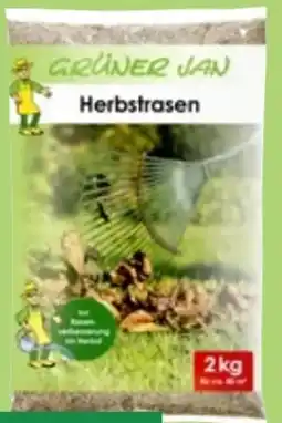 Thomas Philipps Grüner Jan Herbstrasen Angebot