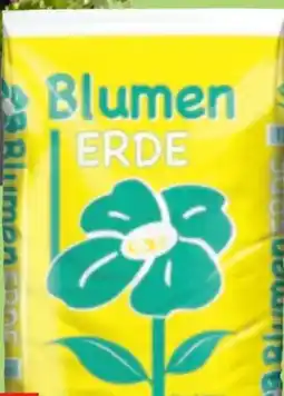 Thomas Philipps Blumenerde Angebot