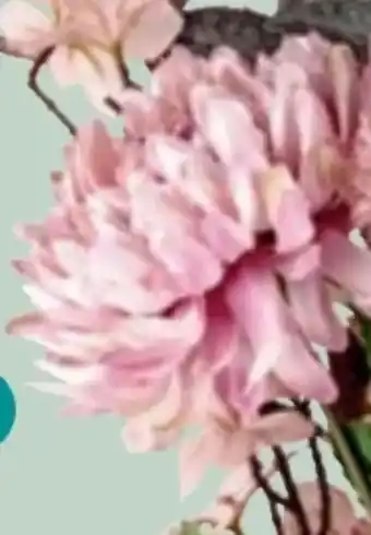 Thomas Philipps Deko-Chrysantheme Angebot