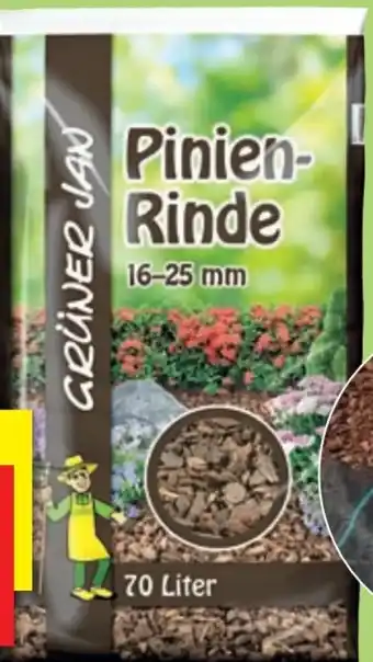 Thomas Philipps Grüner Jan Pinienrinde Angebot