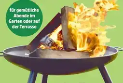 Thomas Philipps Feuerschale Angebot