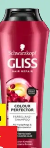 Thomas Philipps Schwarzkopf Gliss Shampoo Color Perfector Angebot