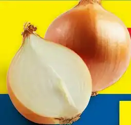 Lidl Gelbe Zwiebeln Angebot
