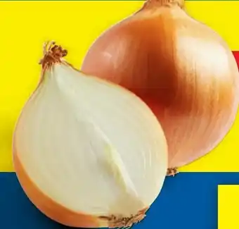 Lidl Gelbe Zwiebeln Angebot