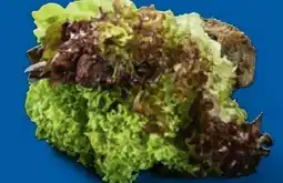 Lidl Salat Multicolor Angebot