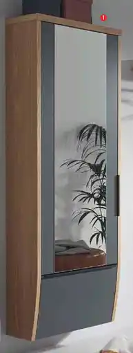 Zurbrüggen Dieter Knoll Hängespiegel- garderobenschrank Angebot