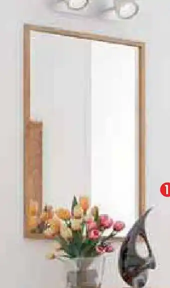 Zurbrüggen WALDWELT Spiegel Angebot