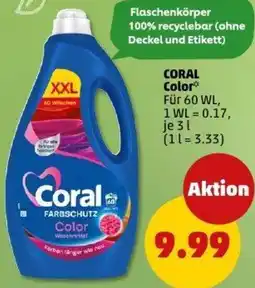 PENNY CORAL Color Angebot