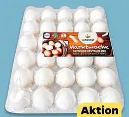 NETTO Landkost Marktwoche Eier Angebot