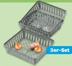NETTO Pflanzkorb Angebot