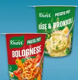 NETTO Knorr Snackbar Kase & Brokkoli Angebot