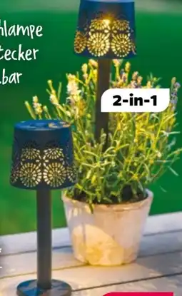 NETTO Garden Dream Solarlampe Angebot