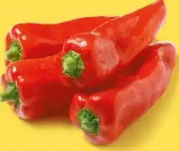 NETTO Rote Spitzpaprika Angebot