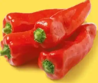 NETTO Rote Spitzpaprika Angebot