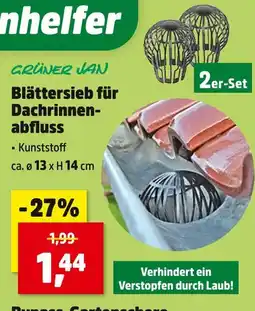Thomas Philipps Grüner jan blättersieb für dachrinnenabfluss Angebot