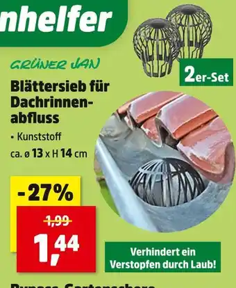Thomas Philipps Grüner jan blättersieb für dachrinnenabfluss Angebot