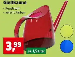 Thomas Philipps Gießkanne Angebot