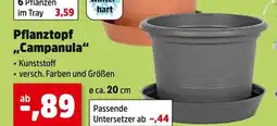 Thomas Philipps Pflanztopf 'campanula' Angebot