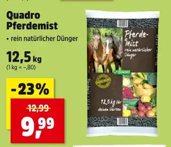 Thomas Philipps Quadro pferdemist Angebot