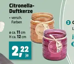 Thomas Philipps Citronella-duftkerze Angebot