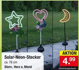 Zimmermann Solar-neon-stecker stern Angebot