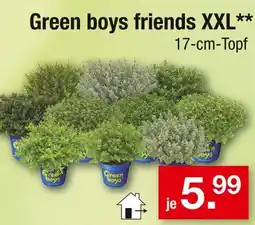 Zimmermann Green boys friends xxl Angebot