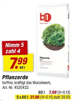 toom Baumarkt B1 pflanzerde Angebot