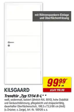 toom Baumarkt Kilsgaard trendtür typ 17/14 r-l Angebot