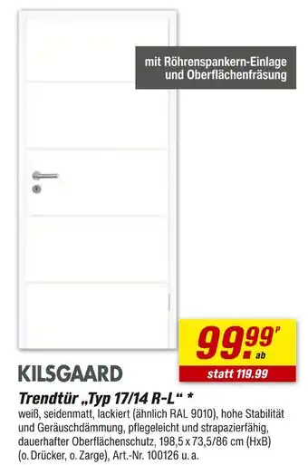 toom Baumarkt Kilsgaard trendtür typ 17/14 r-l Angebot