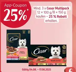 Rossmann Cesar 25% rabatt Angebot